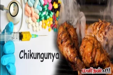 சிக்கன் சாப்பிட்டா சிக்குன்குனியா வருமா? தெளிவாக விளக்கும் மருத்துவ நிபுணர்