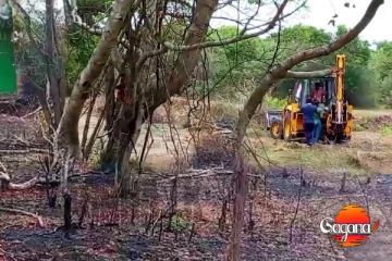 වගාවට රිලවු එනවැයි කියා අභයභූමිය ඩෝසර් කරලා