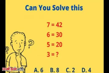 Brain Teaser Maths: நீங்கள் ஒரு மேதாவியா? இதற்கு விடையை சரியாக சொல்லுங்கள்