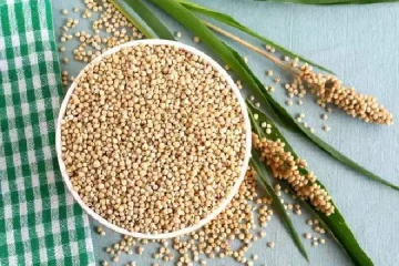 சோளம் நல்லது தான்.. ஆனால் இதில் பக்கவிளைவுகளும் உண்டு! உங்களுக்கு தெரியுமா?