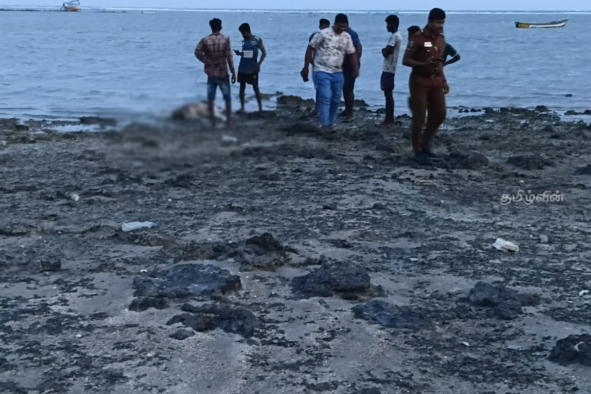 யாழ்.புங்குடுதீவு கடலில் ஒதுங்கிய சடலம்! | Death Body Sea Off Punguduthivu Jaffna