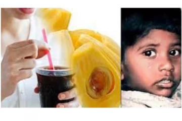 பலாப்பழம் சாப்பிட்டு, குளிர்பானம் குடித்த 3 பேருக்கு வாந்தி, மயக்கம் - தாய், மகன் மரணம்