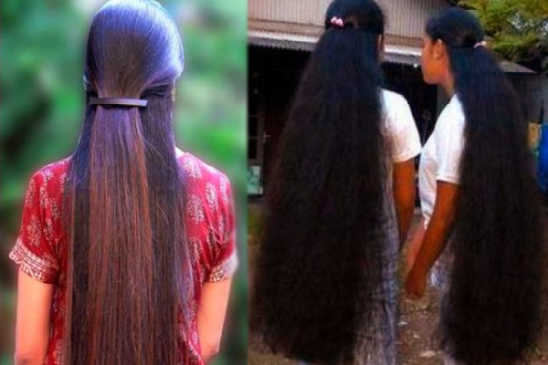 கரு கரு நீண்ட கூந்தலுக்கு - இந்த ரகசிய எண்ணெய் செய்து 3 முறை போடுங்க | Hair Care Secrets Oil Apply 3 Times A Week கரு கரு நீண்ட கூந்தலுக்கு - இந்த ரகசிய எண்ணெய் செய்து 3 முறை போடுங்க | Hair Care Secrets Oil Apply 3 Times A Week