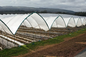 லட்சக்கணக்கில் செலவு செய்து பிரித்தானியாவுக்கு வேலைக்கு வந்தவர்களுக்கு கிடைத்த ஏமாற்றம்
