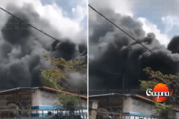 දිවුලපිටිය ටයර් කර්මාන්ත ශාලාවක ගින්න [VIDEO]