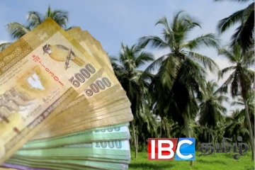 வடக்கில் தென்னை விவசாயிகளுக்கு மகிழ்ச்சி தகவல் :கிடைக்கப்போகும் பணம்