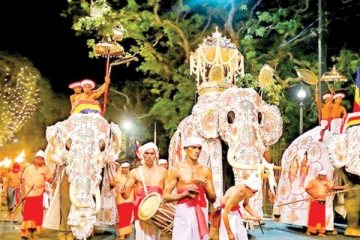 தலதா பெரஹரவில் பங்கேற்ற 76 கலைஞர்களுக்கு கொரோனா