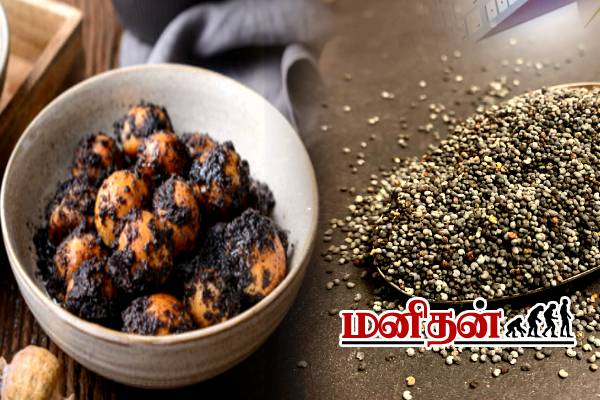 போதை பொருளாக மாறும் கசகசா- அதிகமாக சாப்பிட்டால் என்ன நடக்கும்? | Side Effects Of Poppy Seeds Kasakasa Benefits போதை பொருளாக மாறும் கசகசா- அதிகமாக சாப்பிட்டால் என்ன நடக்கும்? | Side Effects Of Poppy Seeds Kasakasa Benefits