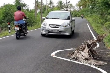 தென்னை ஓலையை சுற்றி வரையப்பட்ட கோடு: வைரலான புகைப்படத்தின் உண்மை பின்னணி