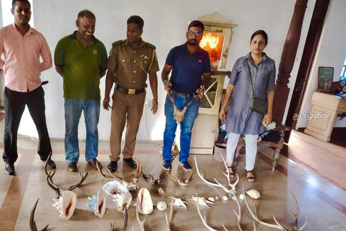 யானைத் தந்தத்துடன் சிக்கிய பெண் | Woman Caught With Elephant Tusk
