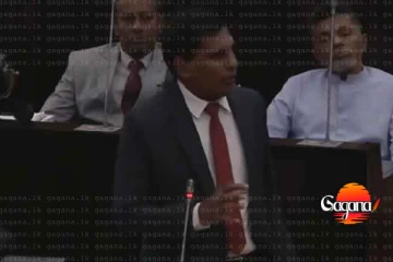 අමාත්‍ය ආනන්ද විජේපාලගෙන් හෙළිදරව්වක්