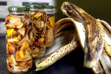 இனி வாழைப்பழ தோலை தூக்கி வீசாதீங்க- செடிகளுக்கு உரமாக்குவது எப்படி?