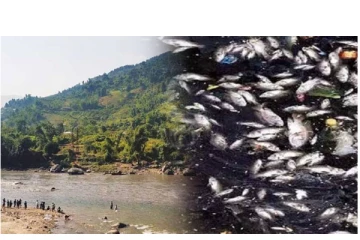 சீனாவின் கைவரிசை? - திடீரென கறுப்பாக மாறிய ஆறு - ஆயிரக்கணக்கான மீன்கள் இறந்து மிதந்தன - மக்கள் அதிர்ச்சி