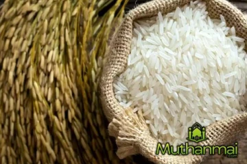 அரிசி தட்டுப்பாடு குறித்து விடுக்கப்பட்டுள்ள எச்சரிக்கை