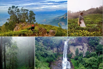 இலங்கையின் வசீகரிக்கும் காட்டு வழி பயணம்!! மிஸ் பண்ணாம போயிடுங்க