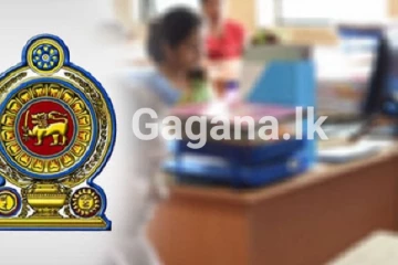 අමාත්‍යාංශ කිහිපයක් ඒකාබද්ධ කරමින් පෞද්ගලික අංශය ද එක්කර නව බලකායක්..!