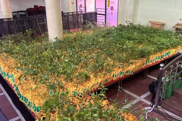 முதலமைச்சர் பிறந்தநாள் - இன்று சந்திக்க வருபவர்களுக்கு இதுதான் கிஃப்ட்! | Cm Stalin Birthday Gift Yellow Bags And Saplings