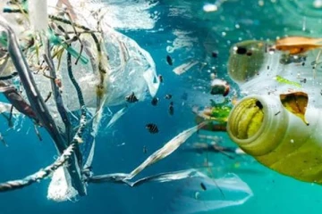 மீன்களை விட அதிக பிளாஸ்டிக் துண்டுகள் கடலில் மிதக்கும் அபாயம்!