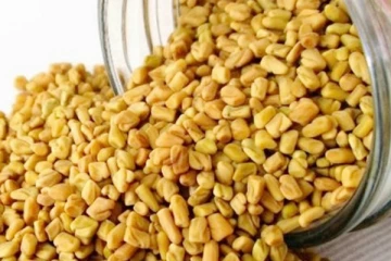 வெந்தயத்தை அதிகமாக சாப்பிட்டால் என்ன நடக்கும் தெரியுமா?