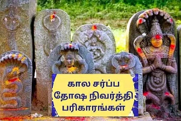 சர்ப்ப தோஷம் விலக செய்யவேண்டிய பரிகாரங்கள்