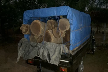 முல்லைத்தீவில் சட்டவிரோத மரக்குற்றிகளை கடத்த முற்பட்டவர் கைது