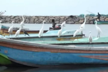 யாழ்.பாசையூரில் உள்ள பல சிறப்புக்களை இந்த காணொளியில் பார்க்கலாம் வாங்க.!