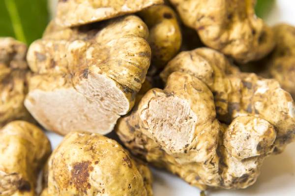 உலகின் மிக விலையுயர்ந்த உணவுகள் என்னென்ன தெரியுமா? | What The Most Expensive Foods In The World Are
