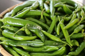 யாழில் பச்சை மிளகாய் திருடிய இருவருக்கு நீதிமன்றம் கொடுத்த தண்டனை!