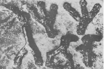 திரிவுபடுத்தப்பட்டு வரும் ஆனைக்கோட்டை  முத்திரை