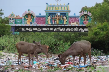 ஆலயம் வரும் பக்தர்ககளால் குவிந்த பிளாஸ்டிக் குப்பைகள் ; மரைகளுக்கு பெரும் அச்சுறுத்தல்