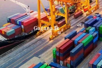 තවත් භාණ්ඩ 300ක ආනයන සීමාවන් ලිහිල් වෙයි.