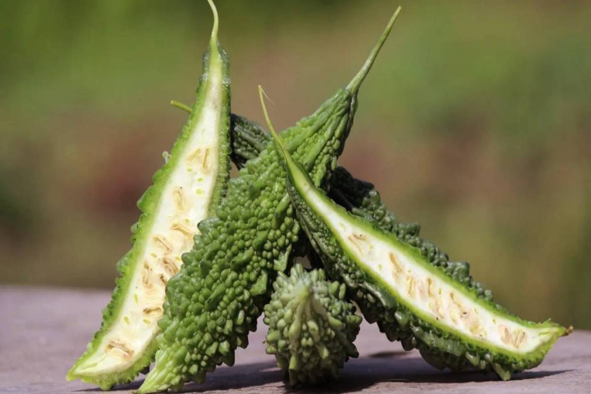 கசப்பே இல்லாமல் பாகற்காய் தொக்கு - 1வாரம் வரை கெடாது.. எப்படி செய்வது? | Bitter Gourd Thokku Recipe Without Bitterness Make