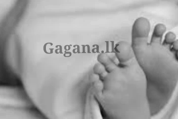අනතුරකින් අවුරුද්දයි මාස දෙකක් වයසැති බිළිඳියක් මියගිය සංවේදී පුවතක්.