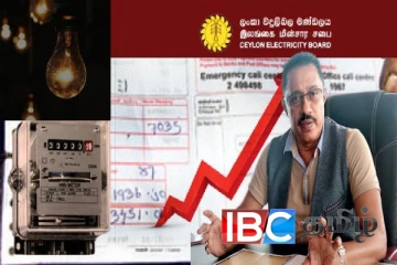 மின்கட்டண அதிகரிப்பு : மரத்தால் விழுந்தவனை மாடு ஏறி மிதிக்கும் செயல் : ஜனக ரத்நாயக்க சாடல்