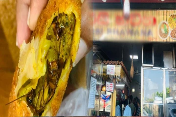 கொழும்பு உணவகமொன்றின் அசமந்த போக்கு ; உணவில் கரப்பான்பூச்சி