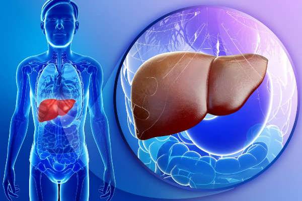 Fatty Liver: கல்லீரல் கொழுப்பை கரைக்கும் அற்புதமான 3 ஜூஸ் | Which 3 Drink Are Best For Fatty Liver Disease