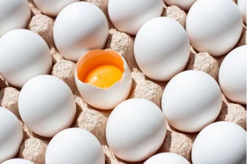 தினமும் முட்டை சாப்பிடுவது உடலுக்கு நல்லதா? கெட்டதா?