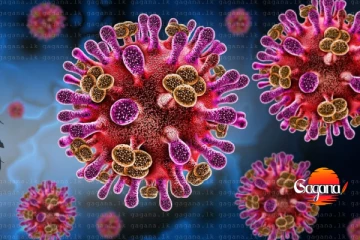 නිපා වෛරසය ගැන ලෝක සෞඛ්‍ය සංවිධානයෙන් දැනුම්දීමක්