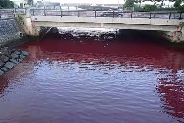 திடீரென சிவப்பு நிறமாக மாறிய ஆற்று நீர்: அதிர்ச்சியடைந்த் பொதுமக்கள்! வெளியான காரணம் | River Water Turned Red In Japan Shocked Public