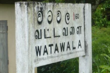 வட்டவளை மவுன்ஜின் தோட்டம் தனிமைப்படுத்தப்பட்டுள்ளது