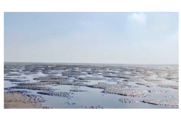 2 கிலோ மீட்டர் தூரம் உள் வாங்கிய கடல் : மக்கள் பெரும் அதிர்ச்சி! | Samugam Viral News