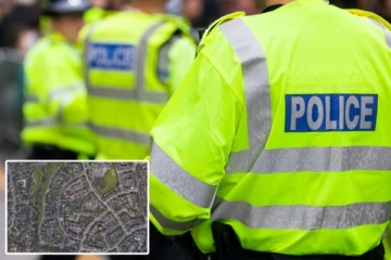 8 வயது சிறுமியை சுற்றி வளைத்த மர்ம கும்பல்: பிரித்தானிய வீதியில் உயிருக்காக ஓட்டம்