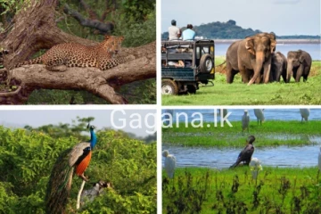 ජාතික උද්‍යාන තාවකාලිකව වසා දැමීමට යයි..