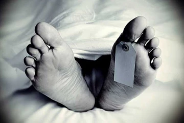 யாழில் குளவிக்கொட்டுக்கு இலக்கான முதியவர் உயிரிழப்பு!