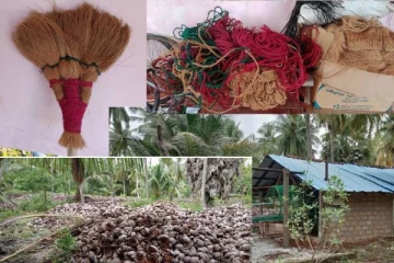 முல்லைத்தீவில் வீணாக்கப்படும் கைத்தொழில் மூலப்பொருட்கள்(Photos)