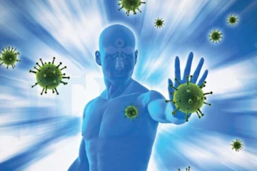 உடம்பில் நோய் எதிர்ப்பு சக்தி தாறுமாறாக எகிற வேண்டுமா? இந்த மூன்று உணவுகள் மட்டும் போதும்