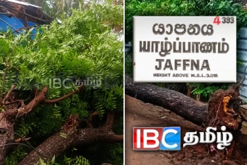 யாழில் பதிவான மோசமான வானிலை: 12 பேருக்கு பாதிப்பு!