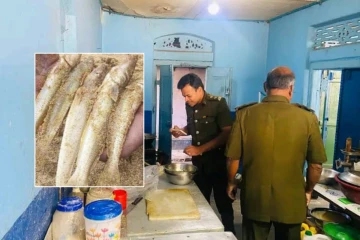 நுகர்வுக்கு பொருத்தமில்லாத மீன் விற்பனை.. பொதுமக்கள் கடும் அதிருப்தி