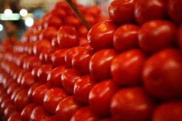 மீண்டும் உச்சத்தில் தக்காளி விலை; பெட்ரோலுக்கே டஃப் - எப்போது குறையும்?