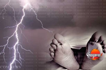 ගවයින් බැලීමට ගිය මිනිසා අකුණු සැර වැදී මරුට